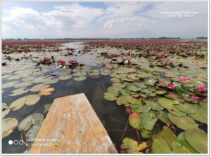 หลังรักพะเยา (Phayao)