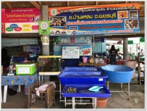 พิกัดอาหารทะเลเด็ดเพชรบุรี @ Phetburi